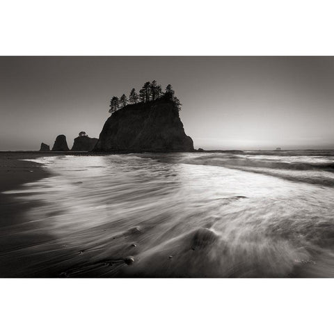 Little James Island Gold Ornate Wood Framed Art Print with Double Matting by Majchrowicz, Alan