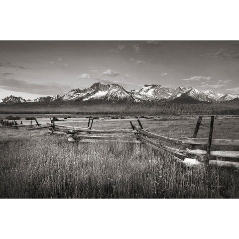 Stanley Basin Fence Gold Ornate Wood Framed Art Print with Double Matting by Majchrowicz, Alan