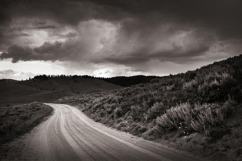 Stanley Basin Road White Modern Wood Framed Art Print with Double Matting by Majchrowicz, Alan