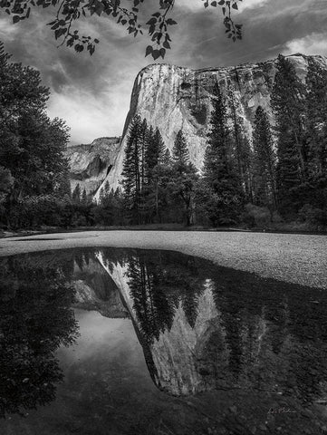 Yosemite I White Modern Wood Framed Art Print with Double Matting by Eichman, Andre