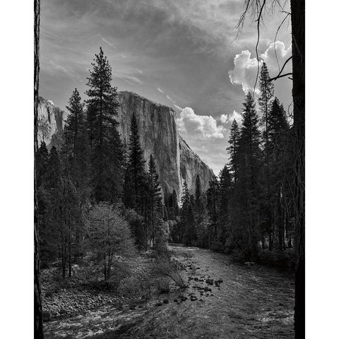 Yosemite II Black Modern Wood Framed Art Print with Double Matting by Eichman, Andre