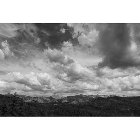 Yosemite V Black Modern Wood Framed Art Print with Double Matting by Eichman, Andre