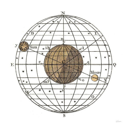 Image Only
