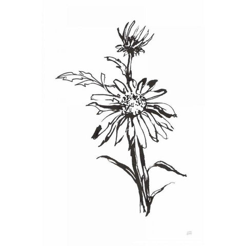 Line Echinacea I White Modern Wood Framed Art Print by Paschke, Chris