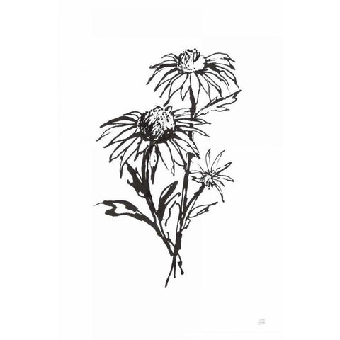 Line Echinacea III Gold Ornate Wood Framed Art Print with Double Matting by Paschke, Chris