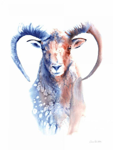 Copper and Blue Ram White Modern Wood Framed Art Print with Double Matting by Valle, Aimee Del