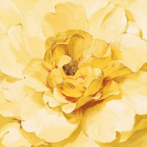 Yellow Peony White Modern Wood Framed Art Print by Nai, Danhui