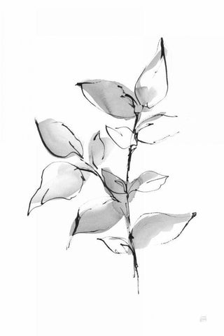 Wash Leaf II White Modern Wood Framed Art Print with Double Matting by Paschke, Chris