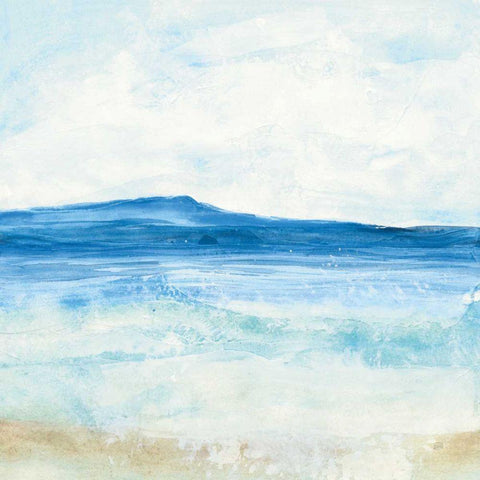 Coastal II Black Modern Wood Framed Art Print by Paschke, Chris