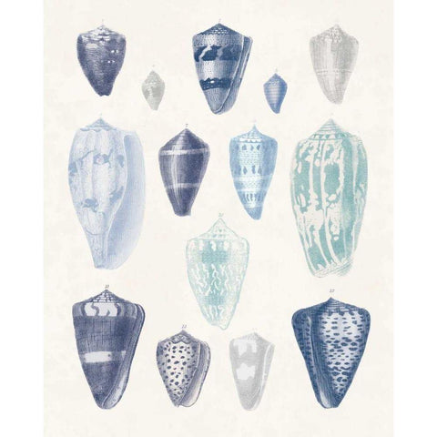 Blue Shell Assortment I White Modern Wood Framed Art Print by Wild Apple Portfolio