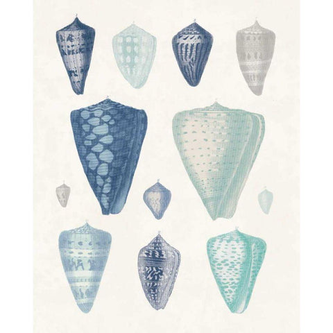 Blue Shell Assortment II White Modern Wood Framed Art Print by Wild Apple Portfolio