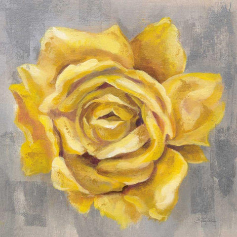 Yellow Roses II White Modern Wood Framed Art Print with Double Matting by Vassileva, Silvia