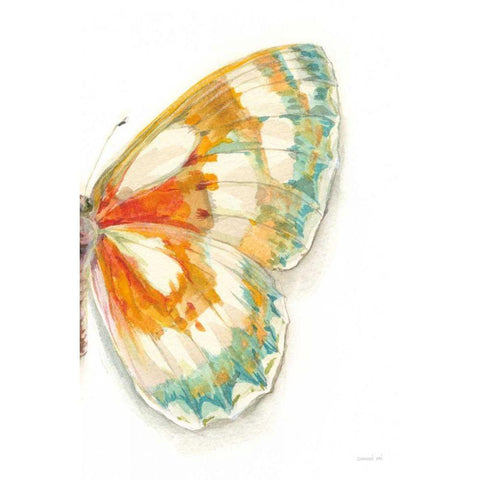 Fragile Wings IV White Modern Wood Framed Art Print by Nai, Danhui