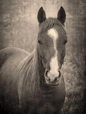 Heres Looking at You II Black Ornate Wood Framed Art Print with Double Matting by Van Swearingen, Debra