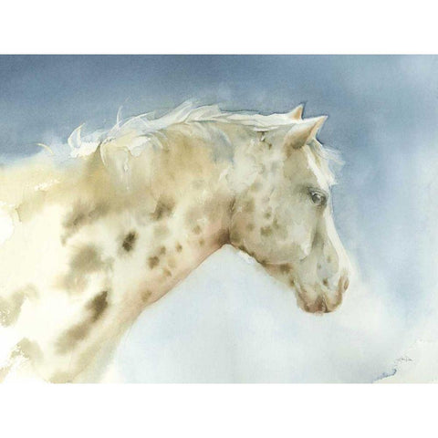 Dapple Gray Horse Black Modern Wood Framed Art Print with Double Matting by Pete, Katrina