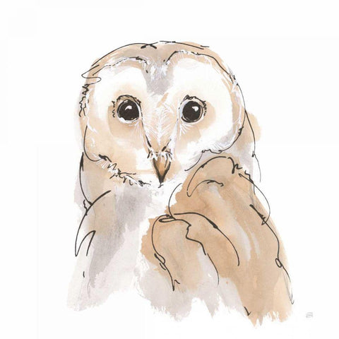 Barn Owl II Gold Ornate Wood Framed Art Print with Double Matting by Paschke, Chris