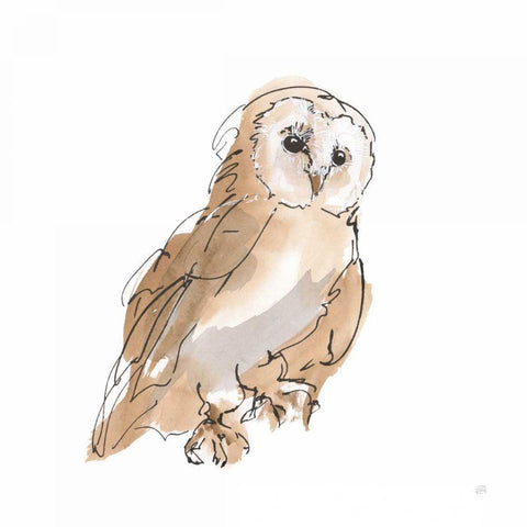 Barn Owl IV Gold Ornate Wood Framed Art Print with Double Matting by Paschke, Chris