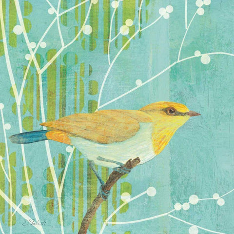 Blue Sky Songbird I White Modern Wood Framed Art Print with Double Matting by D Salusti