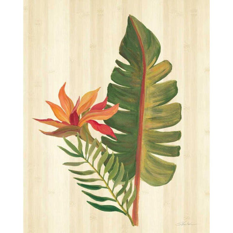 Tropical Garden VI White Modern Wood Framed Art Print by Vassileva, Silvia