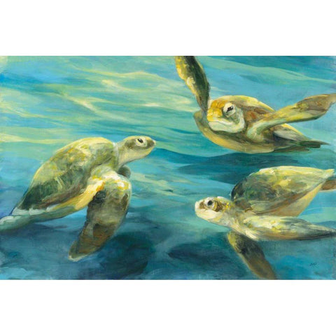 Sea Turtles Black Modern Wood Framed Art Print with Double Matting by Purinton, Julia