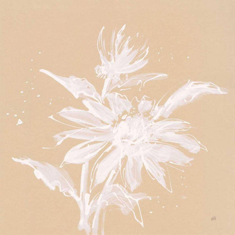 Echinacea II White Modern Wood Framed Art Print by Paschke, Chris