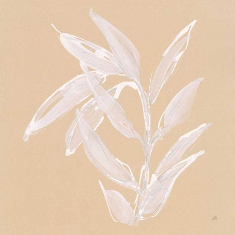 Leaf Study III Black Modern Wood Framed Art Print by Paschke, Chris