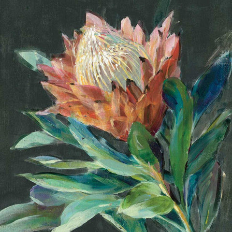 Deep Protea Crop Black Ornate Wood Framed Art Print with Double Matting by Nai, Danhui