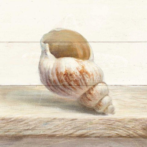 Driftwood Shell I White Modern Wood Framed Art Print by Nai, Danhui