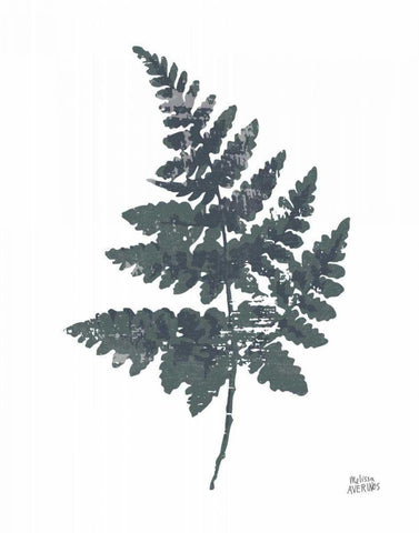 Fern II Black Ornate Wood Framed Art Print with Double Matting by Averinos, Melissa