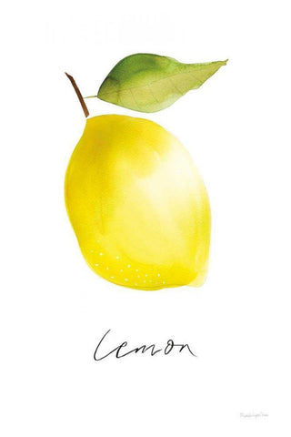 Single Lemon White Modern Wood Framed Art Print with Double Matting by Charro, Mercedes Lopez