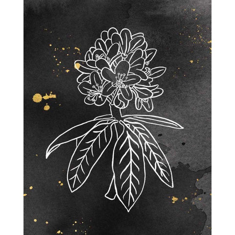 Indigo Blooms II Black Gold Ornate Wood Framed Art Print with Double Matting by Wild Apple Portfolio