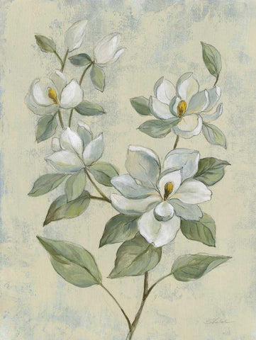 Sage Magnolia White Modern Wood Framed Art Print with Double Matting by Vassileva, Silvia