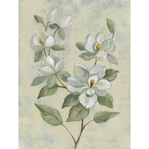 Sage Magnolia Gold Ornate Wood Framed Art Print with Double Matting by Vassileva, Silvia