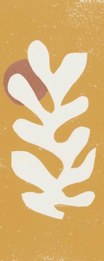 Image Only