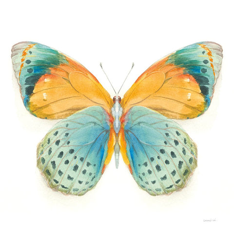 Fragile Wings Butterfly I Black Modern Wood Framed Art Print by Nai, Danhui