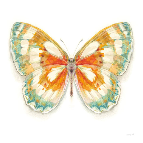 Fragile Wings Butterfly II White Modern Wood Framed Art Print with Double Matting by Nai, Danhui