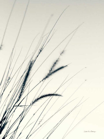 Field Grasses I White Modern Wood Framed Art Print with Double Matting by Van Swearingen, Debra