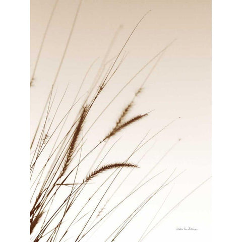 Field Grasses I Sepia White Modern Wood Framed Art Print by Van Swearingen, Debra