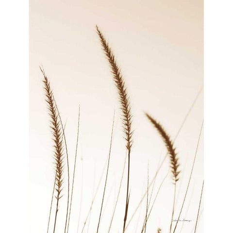 Field Grasses IV Sepia White Modern Wood Framed Art Print by Van Swearingen, Debra