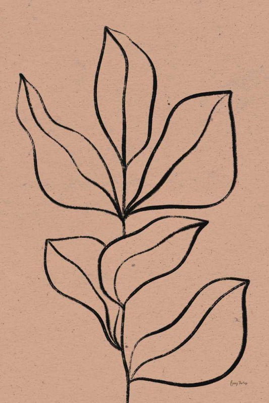 Image Only