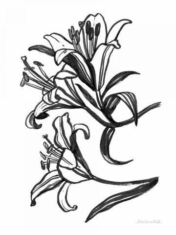 Ink Lilies II White Modern Wood Framed Art Print with Double Matting by Miller, Sara Zieve