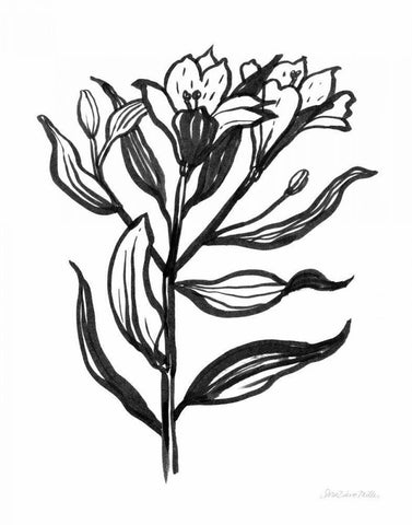 Ink Flower I White Modern Wood Framed Art Print with Double Matting by Miller, Sara Zieve