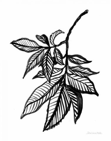 Ink Leaves Black Ornate Wood Framed Art Print with Double Matting by Miller, Sara Zieve