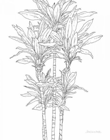 Sketched Tree II Black Ornate Wood Framed Art Print with Double Matting by Miller, Sara Zieve
