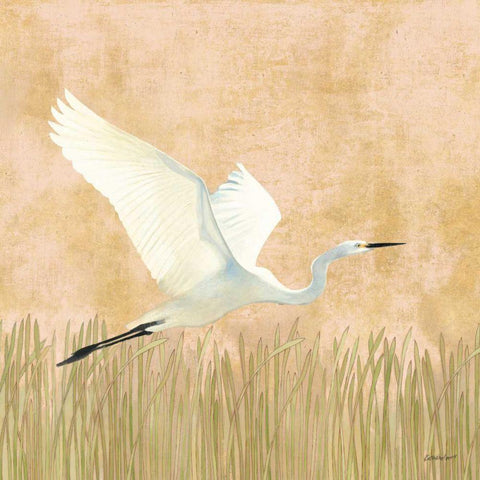 Egret Alighting II Gold Ornate Wood Framed Art Print with Double Matting by Lovell, Kathrine