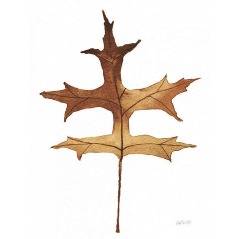 Colors of the Fall I Brown Black Modern Wood Framed Art Print with Double Matting by Tavoletti, Anne