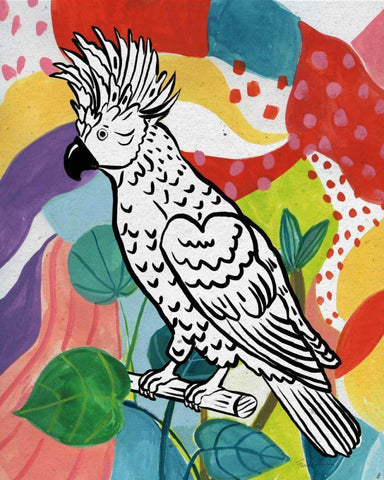 Jungle Cockatoo White Modern Wood Framed Art Print with Double Matting by Zaman, Farida