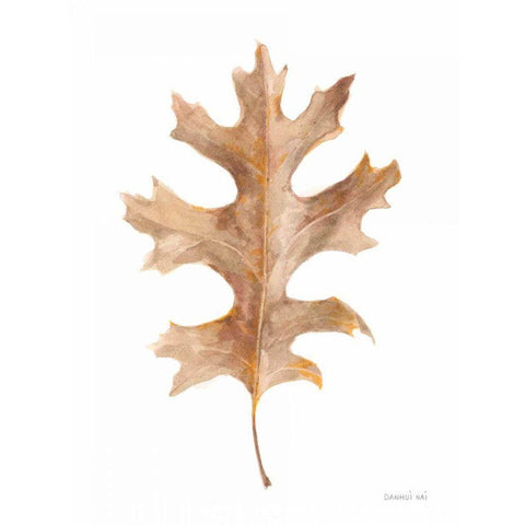 Fallen Leaf I White Modern Wood Framed Art Print by Nai, Danhui