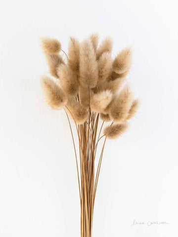 Dried Bouquet I Black Ornate Wood Framed Art Print with Double Matting by Catterall, Elise