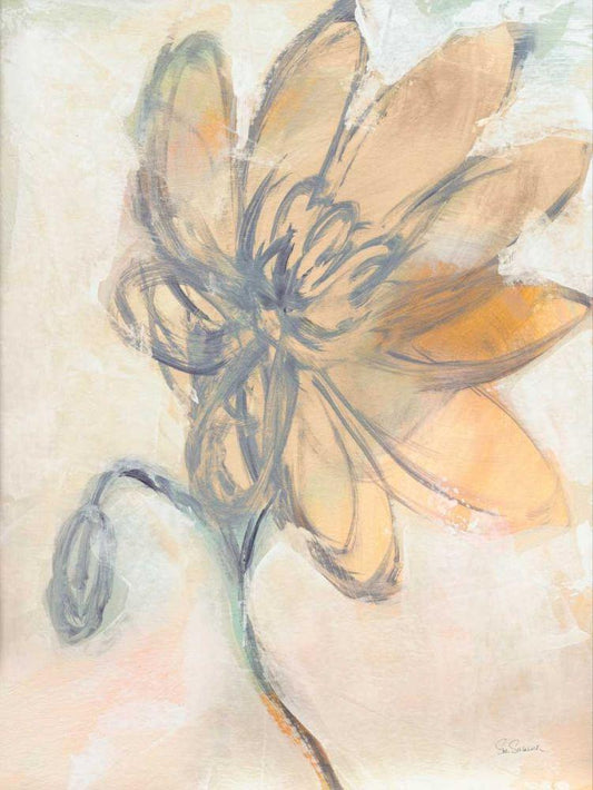 Image Only